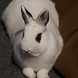 Meet your Posher, John aiden